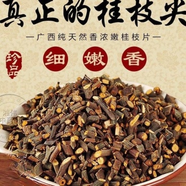 桂枝尖规格齐全批发优质桂枝量大价优货源充足