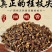 桂枝尖规格齐全批发优质桂枝量大价优货源充足