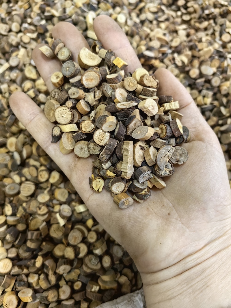桂枝尖规格齐全批发优质桂枝量大价优货源充足
