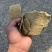山东豆饼一手加工，视频看货对接全国，量大价优电联