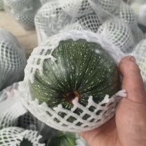 安徽，怀远小南瓜，大量上市，价格优美，欢迎全国采购商致电