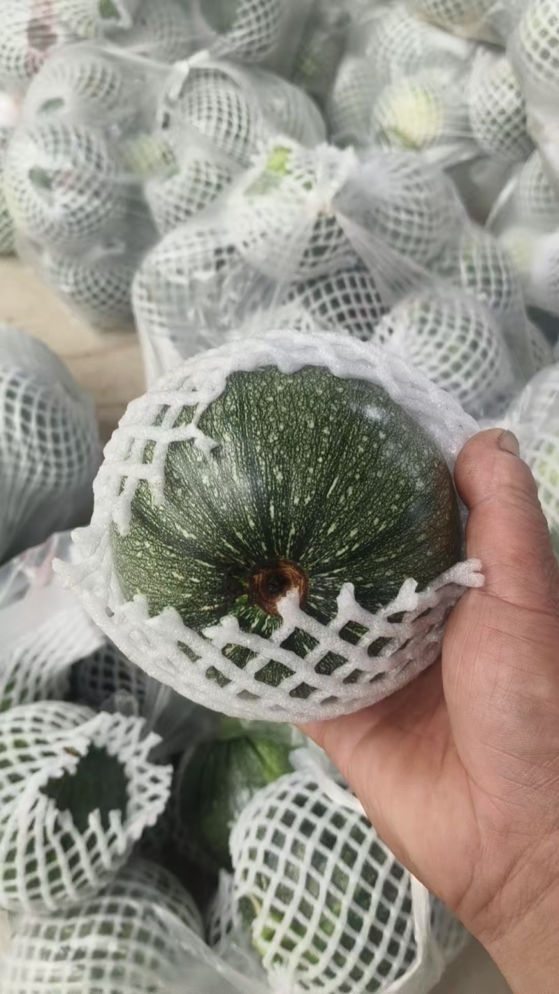 安徽，怀远小南瓜，大量上市，价格优美，欢迎全国采购商致电