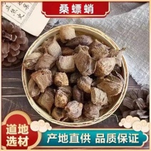 桑螵蛸批发优质桑螵蛸规格齐全可供大货量大价优
