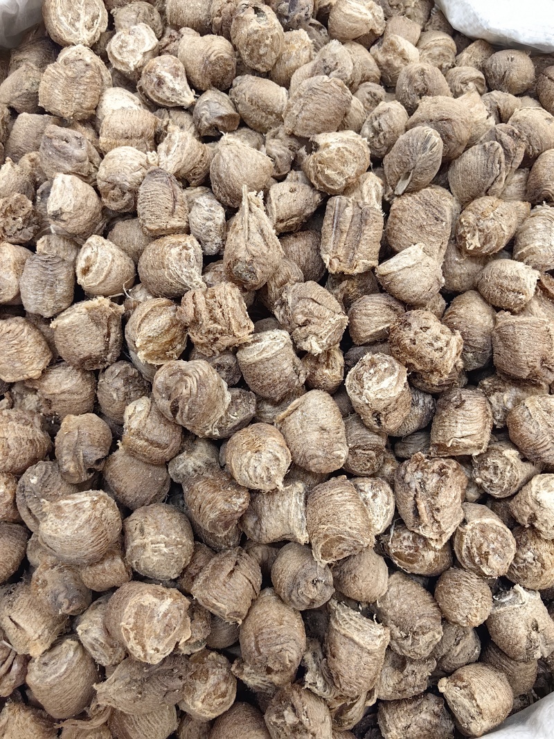 桑螵蛸批发优质桑螵蛸规格齐全可供大货量大价优