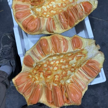菠萝蜜红肉黄肉，应季新鲜水果。