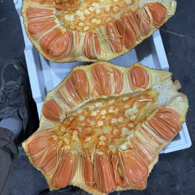 菠萝蜜红肉黄肉，应季新鲜水果。