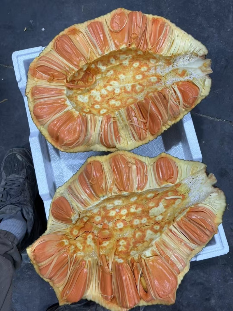 菠萝蜜红肉黄肉，应季新鲜水果。