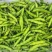 云南精品蚕豆大量上市品质保证量大从优一手货源