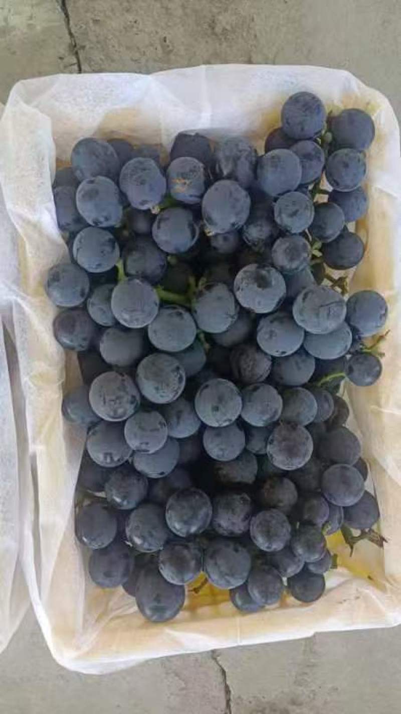 夏黑葡萄