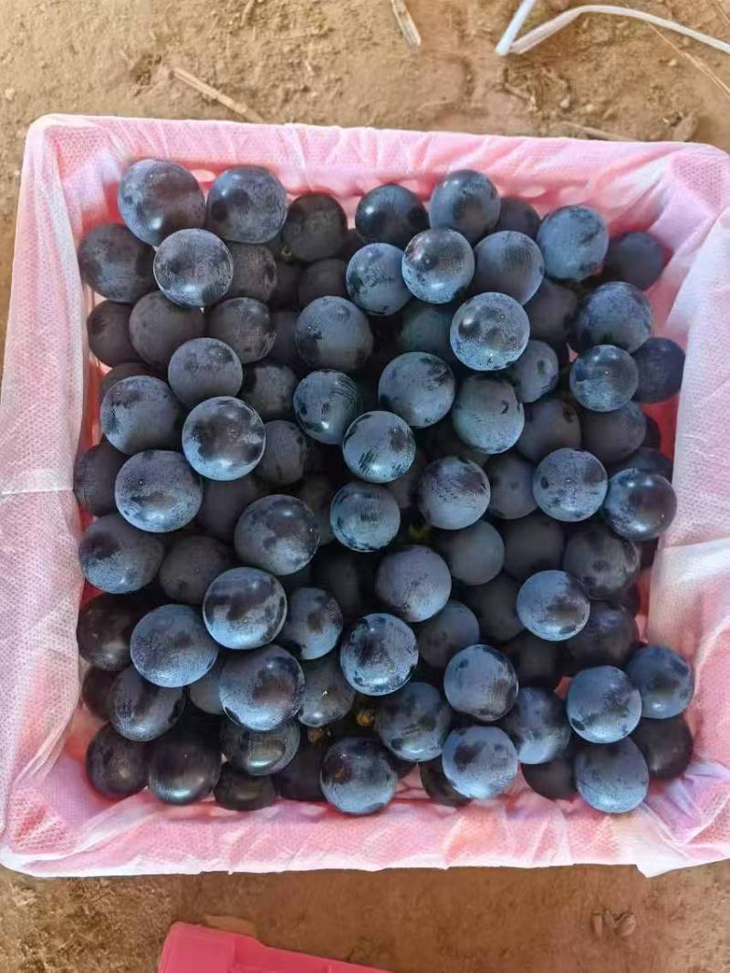 夏黑葡萄