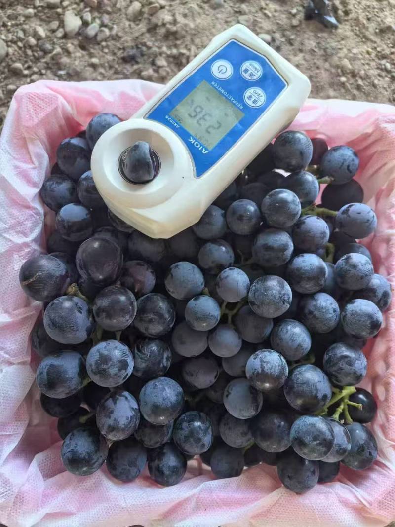 夏黑葡萄