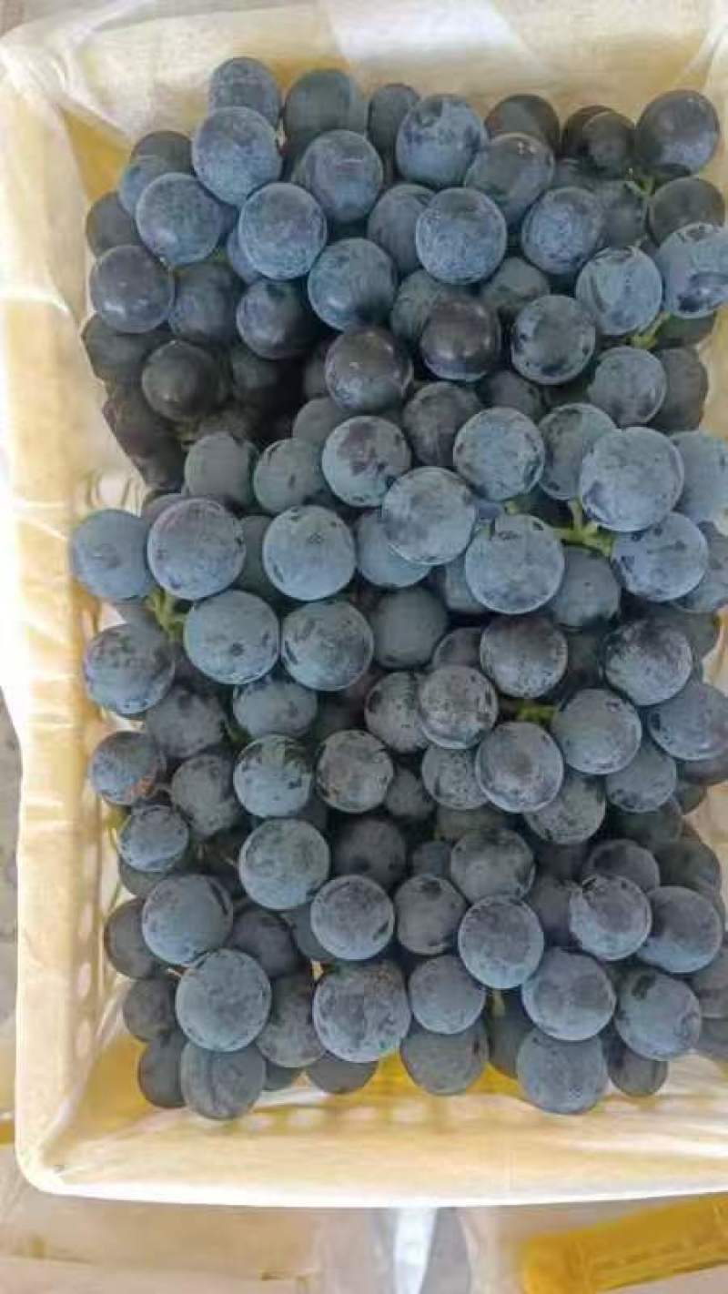 夏黑葡萄