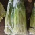 产地蒜苔大量上市