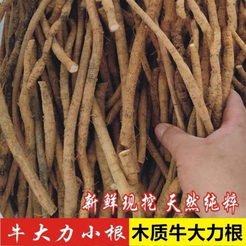 牛大力干货无硫磺和鲜货牛大力