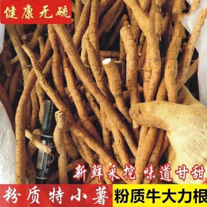 牛大力干货无硫磺和鲜货牛大力