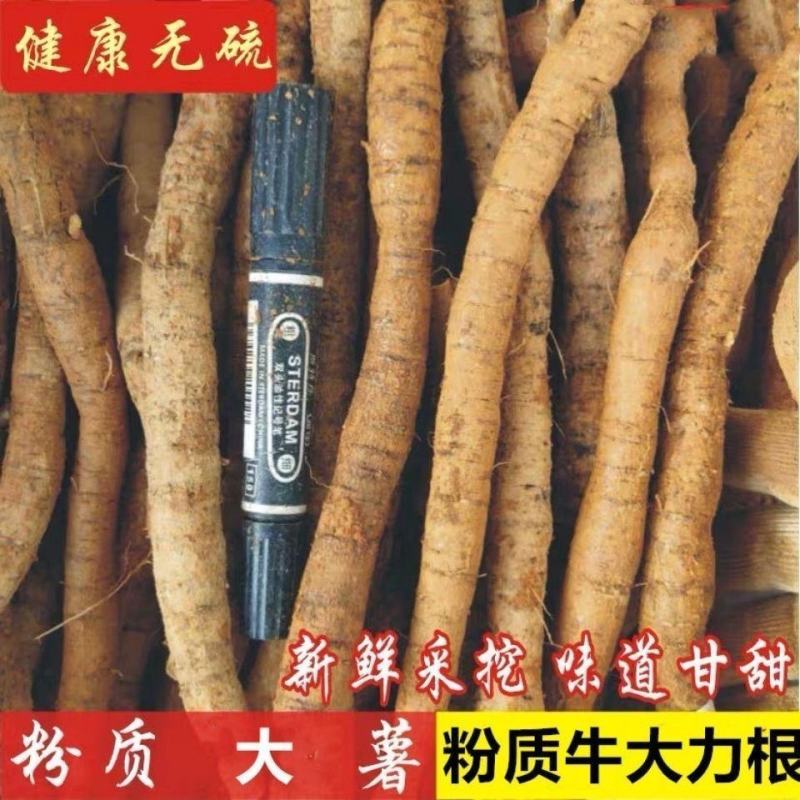 牛大力干货无硫磺和鲜货牛大力