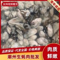 潮州生蚝肉批发产地直发新鲜味美质量保证可
