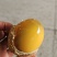 传统工艺特色特大变蛋自产自销对接全国各大商超