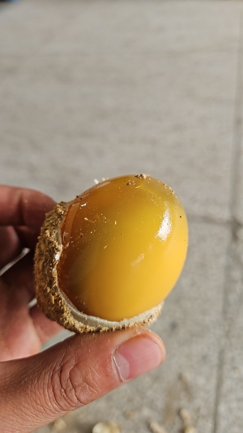 传统工艺特色特大变蛋自产自销对接全国各大商超