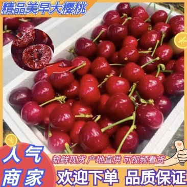 推荐樱桃美早樱桃萨米托布鲁克斯产地直供