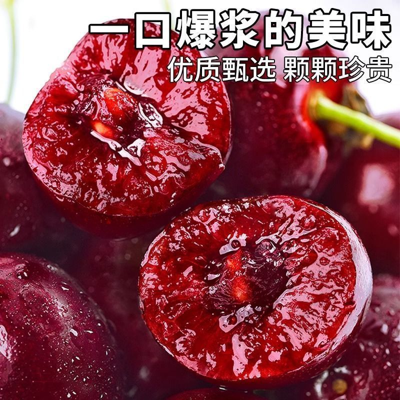 推荐樱桃美早樱桃萨米托布鲁克斯产地直供
