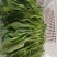 上市了，硒菜苔油菜苔板蓝甘青菜苗