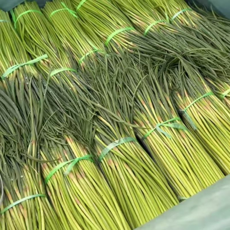 精品红帽蒜苔产地直供大量有货，对接超市电商批发市场