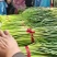 精品红帽蒜苔产地直供大量有货，对接超市电商批发市场