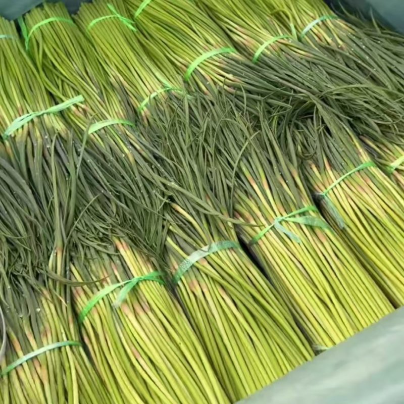 优质红帽蒜苔大量有货，价格合理质量保证，全国发货