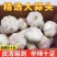 大蒜紫皮蒜电商供应质量好价格低诚信为本欢迎来电