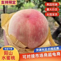 阳山水蜜桃香甜多汁现摘现发应季水果快速发货