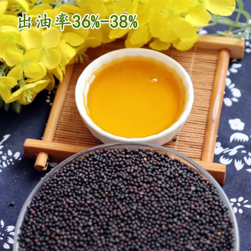 油菜籽一手货源质量保证，量大从优，视频看货对接全国