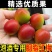诏安胭脂红梅全国发货。一件代发批发