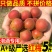 诏安胭脂红梅全国发货。一件代发批发