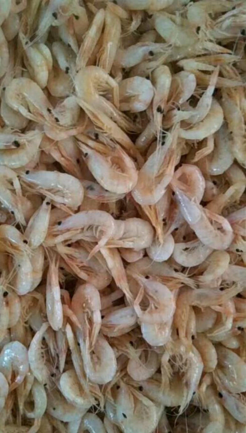 小河虾