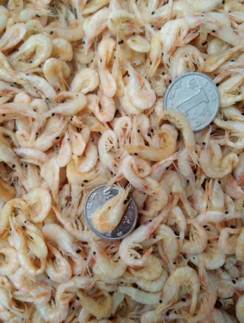 小河虾