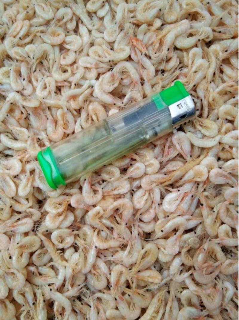 小河虾（水煮）