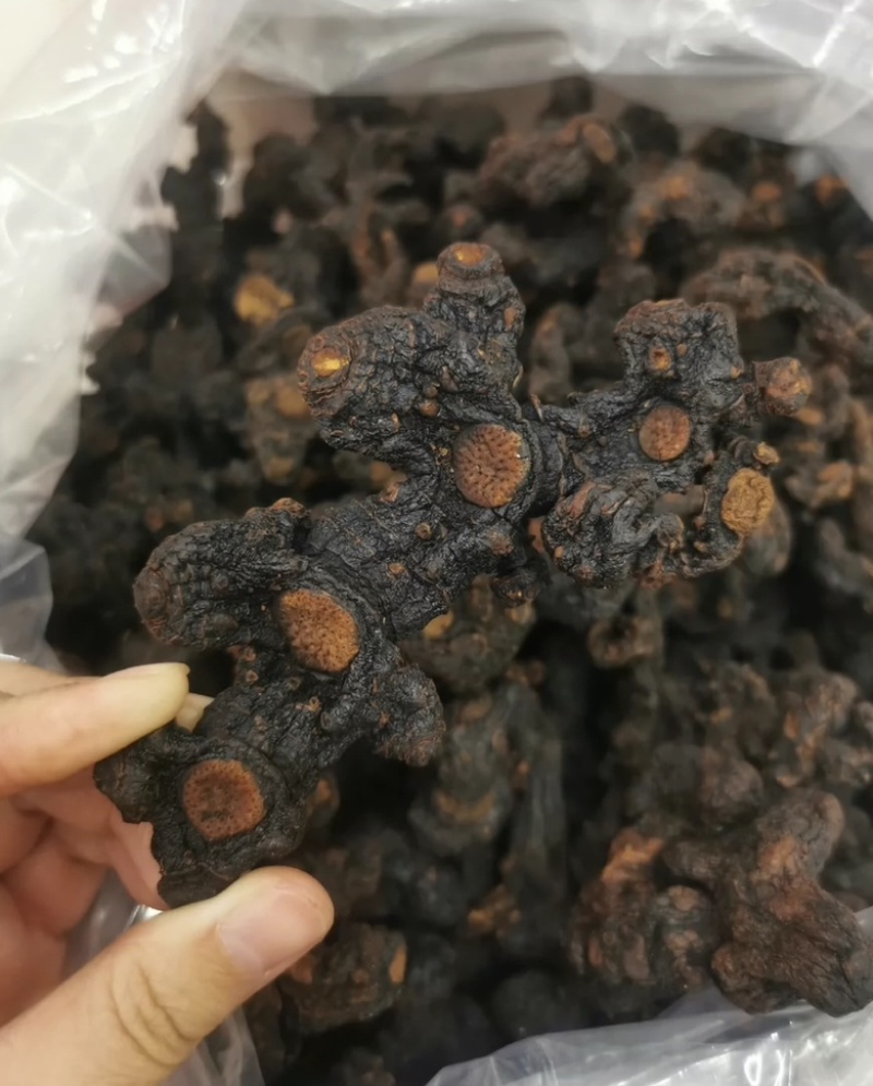 九蒸九晒野生黄精62一斤50斤起批顺丰包邮