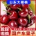 《实力》美早樱桃山东基地直发保质保量对接商超团购供应链