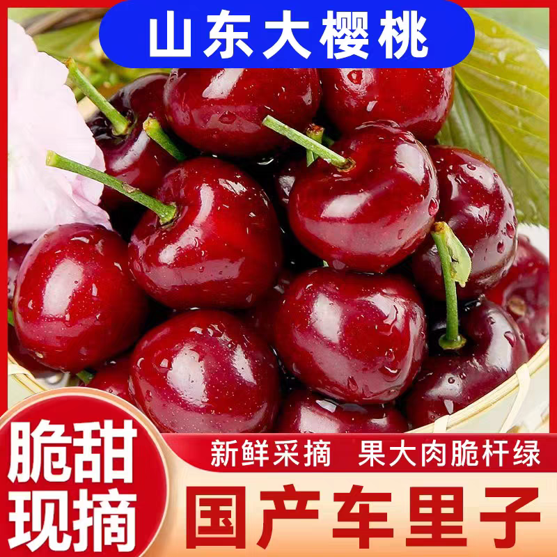 《实力》美早樱桃山东基地直发保质保量对接商超团购供应链