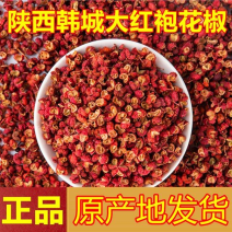 陕西韩城【精品大红袍花椒】产地直发诚信经营量大从优！