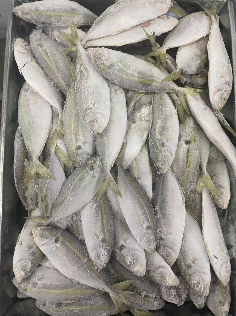 海鱼