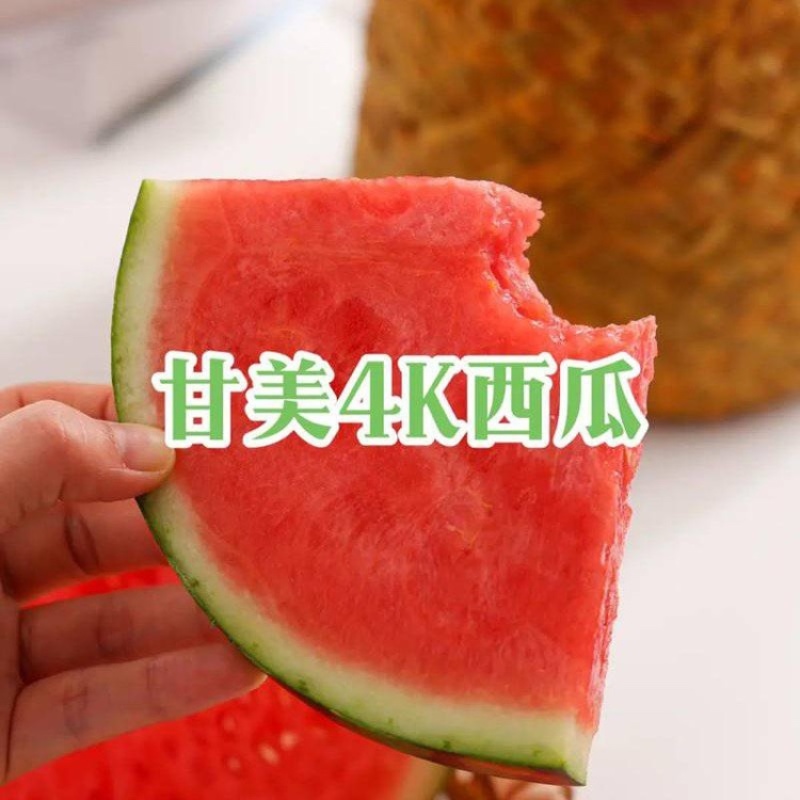 江苏精品甘美4K西瓜大量上货品质保障价格实惠运输方便