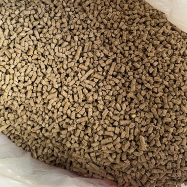 玉米颗粒饲料
