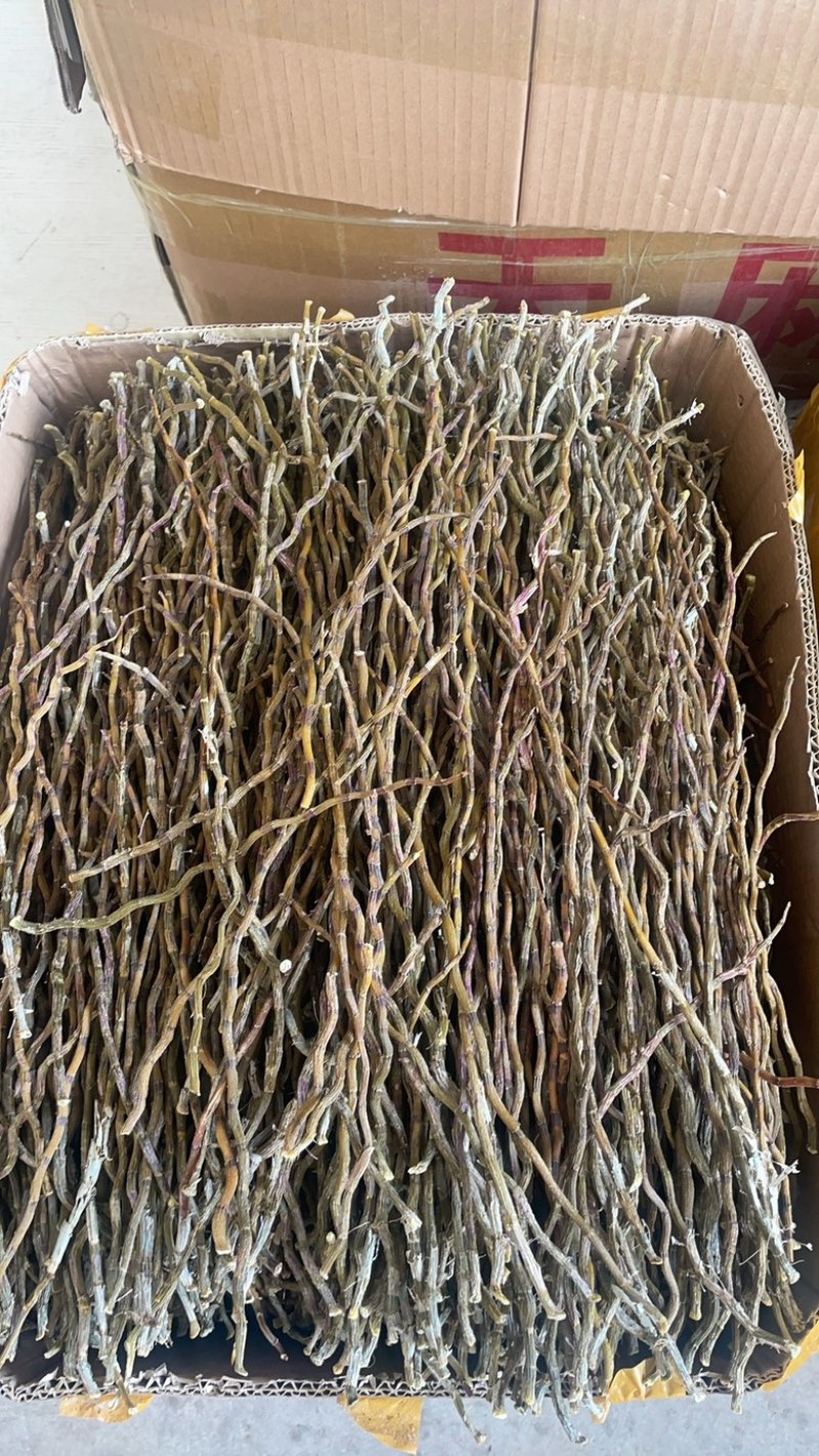铁皮石斛干条大货批发精品上下一样铁皮石斛干条一手货源