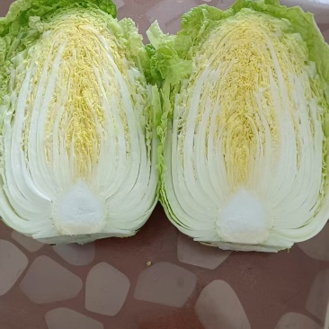 黄心大白菜大量上市，养殖场白菜，市场，加工厂大量