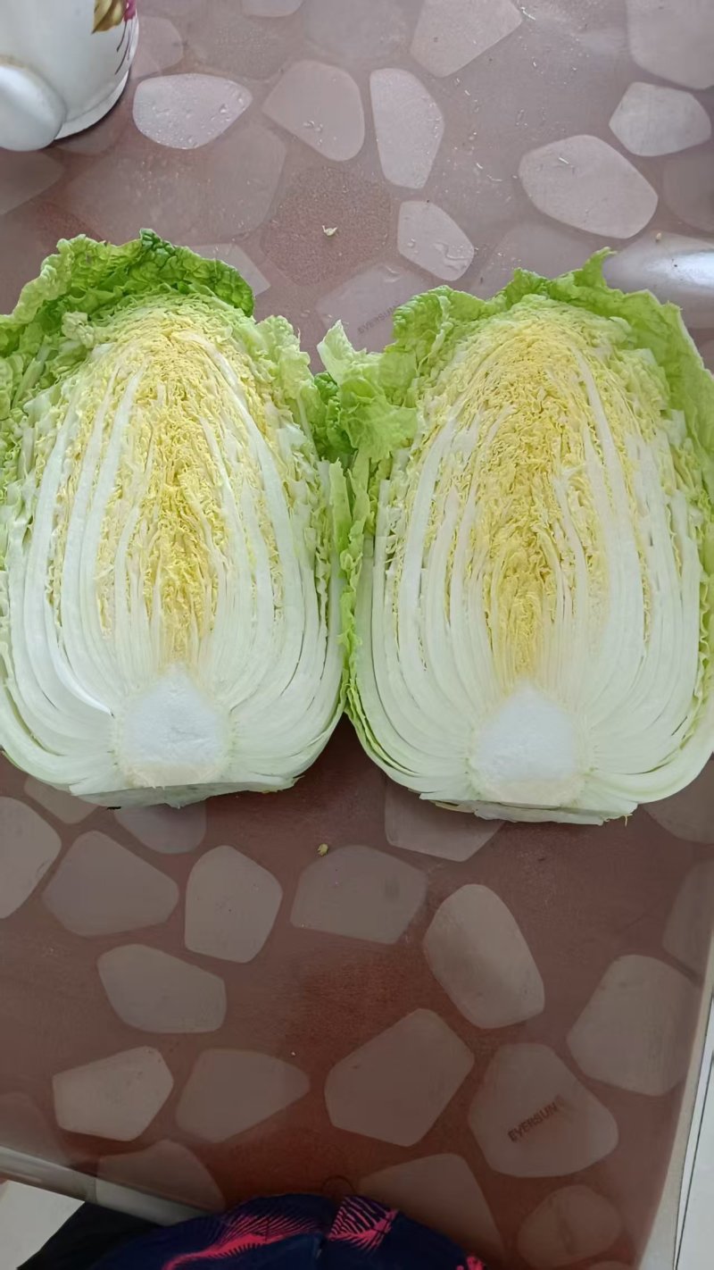 黄心大白菜大量上市，养殖场白菜，市场，加工厂大量