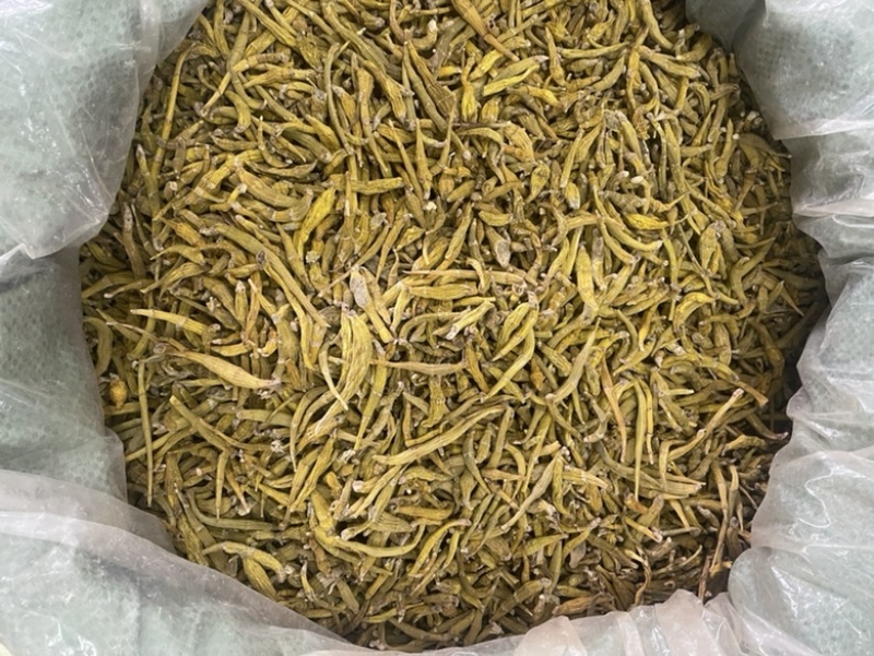 虎牙石斛大货批发1斤起
