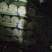 河南蒜薹红帽产地直发一手货源视频看货对接全国商超市场