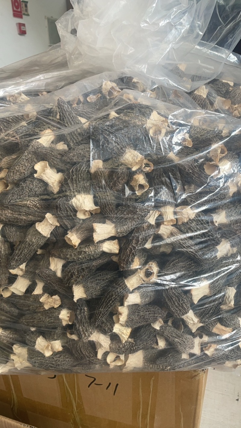 5到8羊肚菌大货批发一手货源